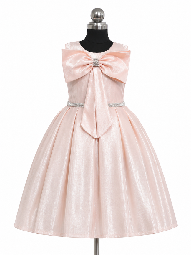Blush Pink Bow Princess Party Dress